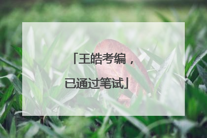 王皓考编，已通过笔试