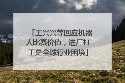 王兴兴等回应机器人比赛价值，进厂打工是全球行业困境