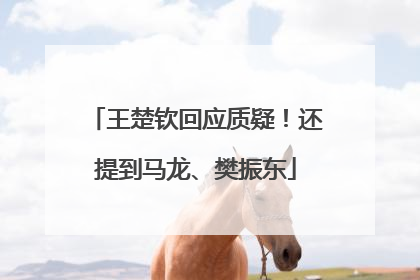 王楚钦回应质疑！还提到马龙、樊振东