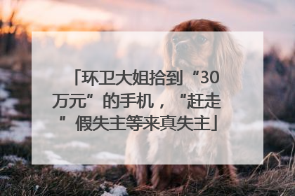 环卫大姐拾到“30万元”的手机，“赶走”假失主等来真失主
