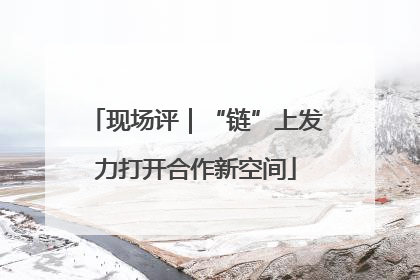 现场评｜“链”上发力打开合作新空间