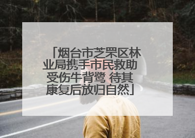 烟台市芝罘区林业局携手市民救助受伤牛背鹭 待其康复后放归自然