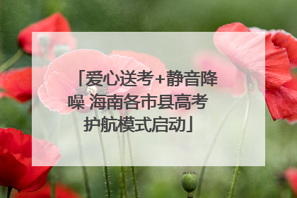 爱心送考+静音降噪 海南各市县高考护航模式启动