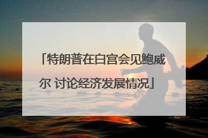 特朗普在白宫会见鲍威尔 讨论经济发展情况
