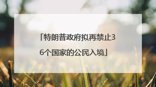 特朗普政府拟再禁止36个国家的公民入境
