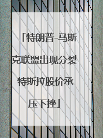 特朗普-马斯克联盟出现分裂 特斯拉股价承压下挫