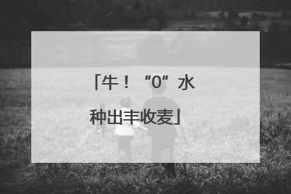 牛！“0”水种出丰收麦