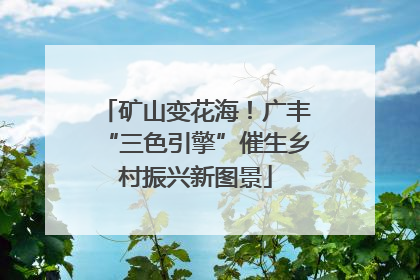 矿山变花海！广丰“三色引擎”催生乡村振兴新图景
