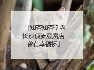 知否知否？老长沙顶流豆腐店曾在幸福桥