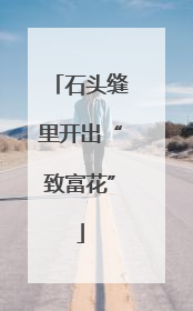 石头缝里开出“致富花”