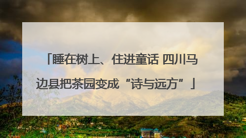 睡在树上、住进童话 四川马边县把茶园变成“诗与远方”