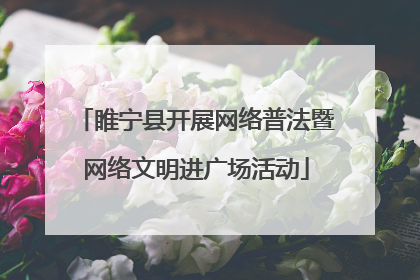 睢宁县开展网络普法暨网络文明进广场活动