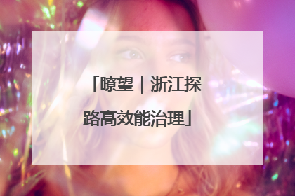 瞭望｜浙江探路高效能治理