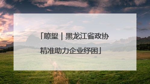 瞭望｜黑龙江省政协精准助力企业纾困