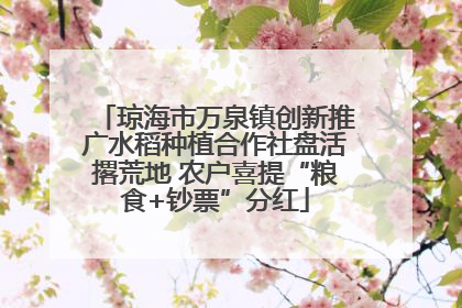 琼海市万泉镇创新推广水稻种植合作社盘活撂荒地 农户喜提“粮食+钞票”分红