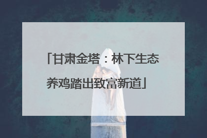 甘肃金塔：林下生态养鸡踏出致富新道
