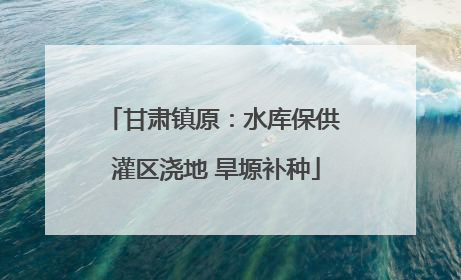 甘肃镇原：水库保供 灌区浇地 旱塬补种