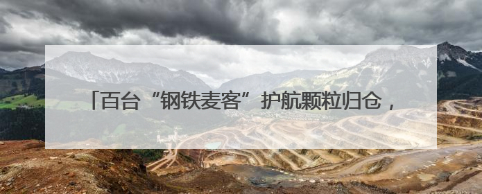 百台“钢铁麦客”护航颗粒归仓，济南高新区4.7万亩小麦开镰