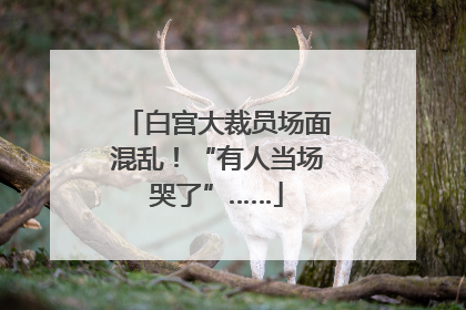 白宫大裁员场面混乱！“有人当场哭了”……