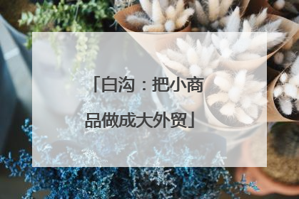白沟：把小商品做成大外贸