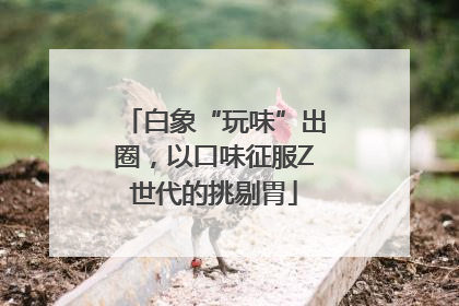 白象“玩味”出圈，以口味征服Z世代的挑剔胃
