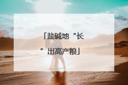 盐碱地“长”出高产粮