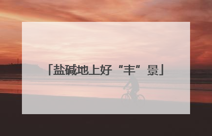 盐碱地上好“丰”景
