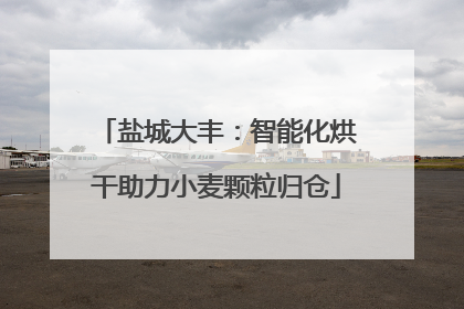 盐城大丰：智能化烘干助力小麦颗粒归仓