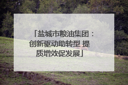 盐城市粮油集团：创新驱动助转型 提质增效促发展