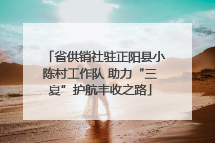 省供销社驻正阳县小陈村工作队 助力“三夏”护航丰收之路