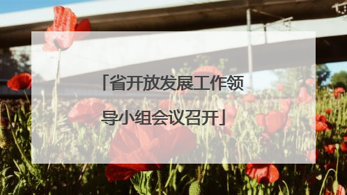 省开放发展工作领导小组会议召开