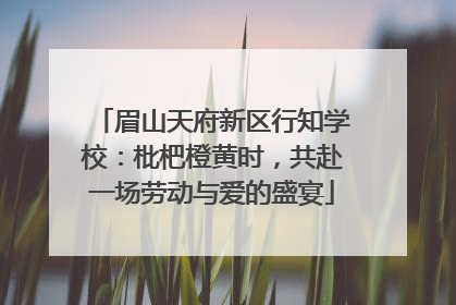 眉山天府新区行知学校：枇杷橙黄时，共赴一场劳动与爱的盛宴