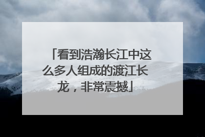 看到浩瀚长江中这么多人组成的渡江长龙，非常震撼