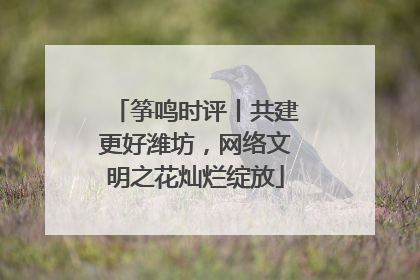 筝鸣时评丨共建更好潍坊，网络文明之花灿烂绽放