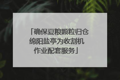 确保夏粮颗粒归仓 绵阳盐亭为收割机作业配套服务