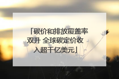 碳价和排放覆盖率双升 全球碳定价收入超千亿美元