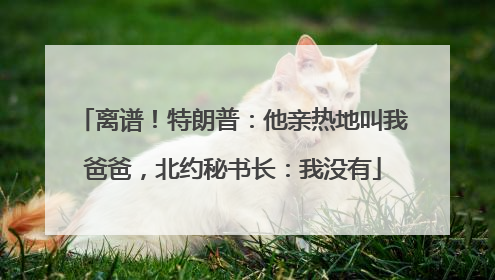 离谱！特朗普：他亲热地叫我爸爸，北约秘书长：我没有