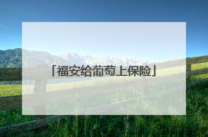 福安给葡萄上保险