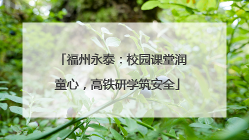 福州永泰：校园课堂润童心，高铁研学筑安全