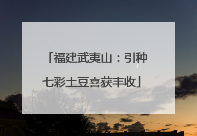 福建武夷山：引种七彩土豆喜获丰收