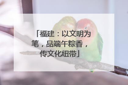 福建：以文明为笔，品端午粽香，传文化纽带