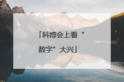 科博会上看“数字”大兴