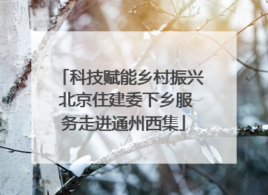 科技赋能乡村振兴 北京住建委下乡服务走进通州西集