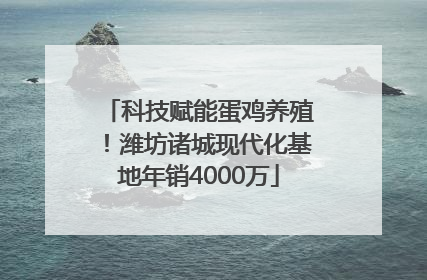 科技赋能蛋鸡养殖！潍坊诸城现代化基地年销4000万