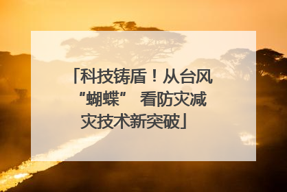 科技铸盾！从台风“蝴蝶” 看防灾减灾技术新突破