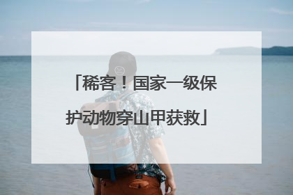 稀客！国家一级保护动物穿山甲获救