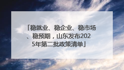 稳就业、稳企业、稳市场、稳预期，山东发布2025年第二批政策清单