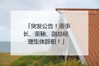 突发公告！董事长、董秘、副总经理集体辞职！