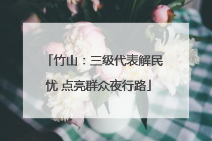竹山：三级代表解民忧 点亮群众夜行路