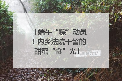 端午“粽”动员！内乡法院干警的甜蜜“食”光